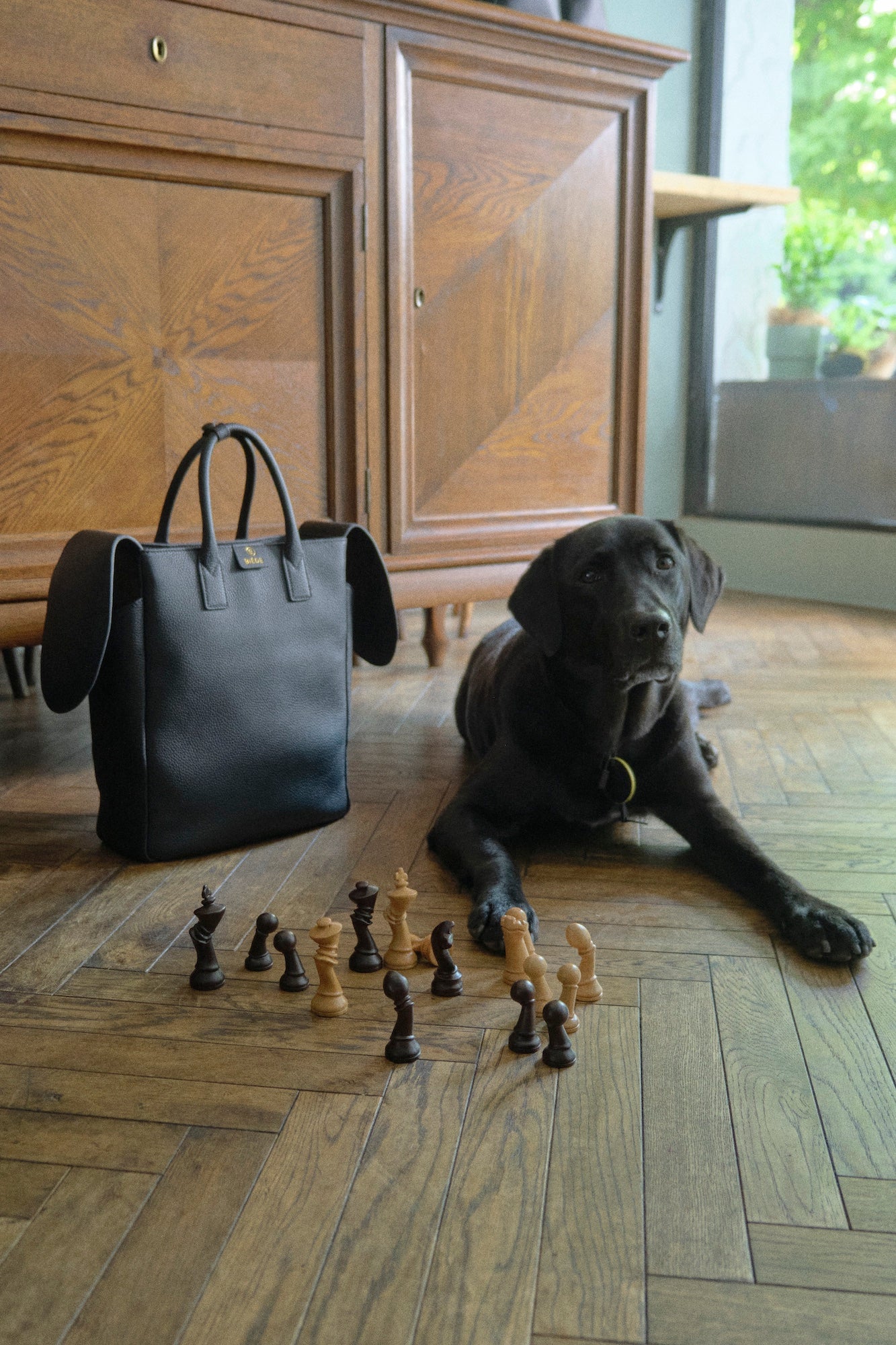 ELEMENT 29《INU》BLACK EDGE - BAG